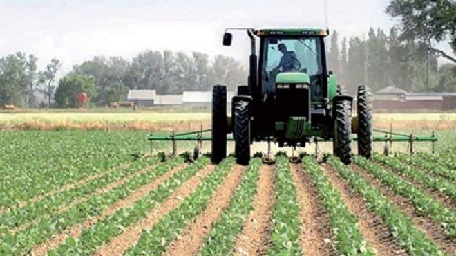 Agriculture : Pluies rassurantes pour la campagne 2018-2019
