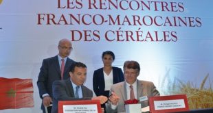 Céréales : Le Maroc et la France renforcent leur partenariat