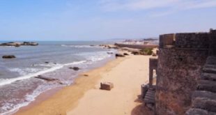 Grande découverte à la plage d’Essaouira