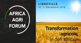 Africa Agri Forum : L’OCP Africa pour la promotion de l’agriculture en Afrique