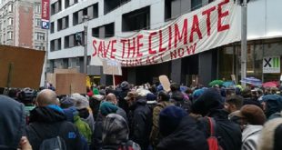 Des milliers de manifestants dans les rues de Bruxelles pour le climat