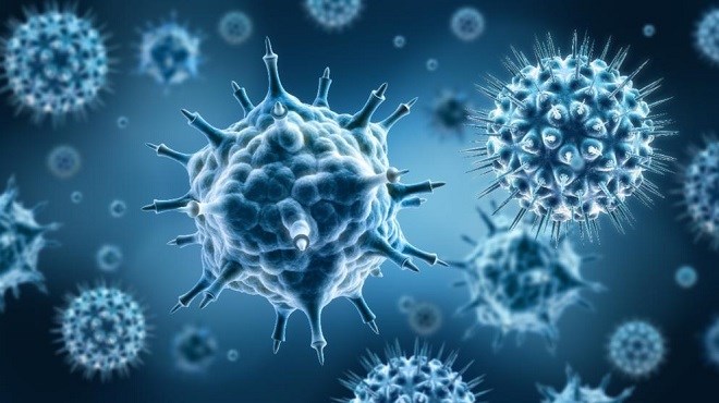 Grippe H1N1 : Le nombre de décès passe à neuf (ministre de la Santé)
