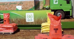 OCP-PanAfrican Fertilizer : Le gouvernement a donné son feu vert