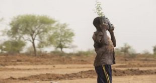 Sahel : Une économie moribonde