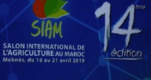 Meknès : Pas d’Assises de l’Agriculture à la veille du SIAM 2019