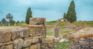 Banasa, un site archéologique qui puise dans l’époque Maurétanienne et Roumaine