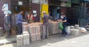 Marché aux œufs «Al-Biyada» de Casablanca : Pourquoi les grossistes tirent la sonnette d’alarme…