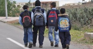 Déperdition scolaire : Le Maroc rattrapé par sa triste réalité