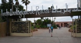 Zoo de Rabat : Et de quatre pour le certificat d’excellence