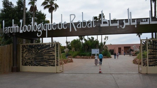 Zoo de Rabat : Et de quatre pour le certificat d’excellence