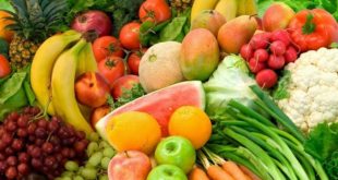 Le Maroc se consolide comme premier fournisseur de l’Espagne en fruits et légumes au 1er trimestre 2019