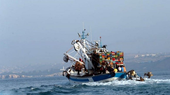 Petits pélagiques : Plan d’aménagement et inquiétudes sur la sardine !