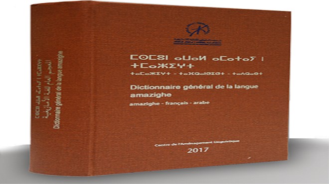 Loi organique sur l’Amazigh  Bien plus qu’une question d