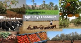 Les « Produits du terroir et de l’élevage » à l’honneur au Salon Agri Days Essaouira