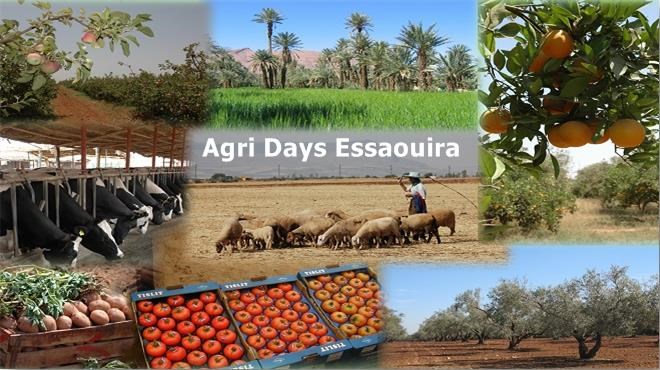 Les « Produits du terroir et de l’élevage » à l’honneur au Salon Agri Days Essaouira