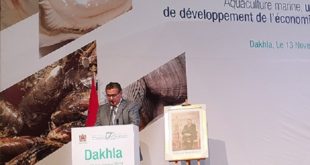 La région de Dakhla-Oued Eddahab s’accapare 60 % de la production aquacole nationale (Akhannouch)