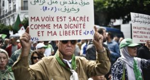 Présidentielle Algérienne : Ces candidats qui tentent de faire diversion