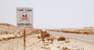 Sahara : Destruction de 96.727 mines terrestres