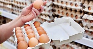 ANPO : 12ème  édition de la Journée nationale de l’œuf
