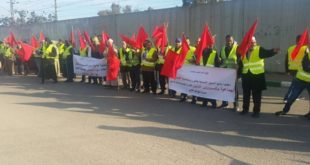 Abattoirs de Casablanca : Les professionnels se dressent contre les élus