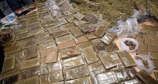 Agadir : Mise en échec d’une tentative de trafic international de drogues