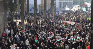 Des milliers de personnes marchent en solidarité avec le peuple palestinien