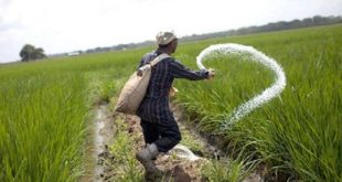 Campagne agricole 2019-2020 : Le Maroc indemnise les agriculteurs des zones sinistrées