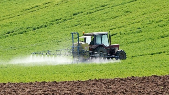 Crédit Agricole,Maroc