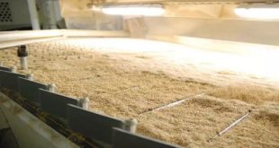 Agriculture | L’OCP contribue au développement de la filière du quinoa