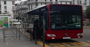 Transports en commun : Des bus provisoires en circulation à Casablanca