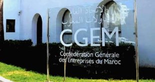 CGEM | L’Architecture globale du plan de relance proposé