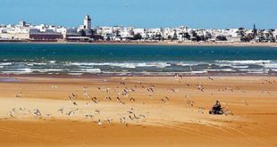 Essaouira | Espoirs et Atouts pour le “Jour d’Après”