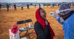 Guinée/ COVID-19 | 104 nouveaux cas, 2146 au total