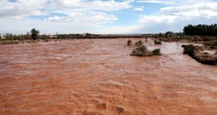 Inde | Plus de 270.000 personnes touchées par les inondations