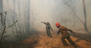 Mexique | Réduction de 10,4% d’incendies de forêt en avril