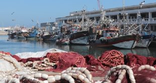 Ramadan | Hausse de 84% des Produits de la pêche côtière et artisanale