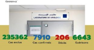 Maroc/ COVID-19 | 44 nouveaux cas confirmés, 7.910 au total