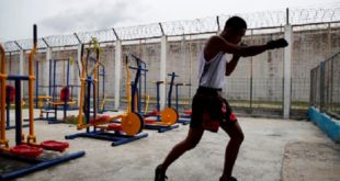 Kick-boxing | Session de formation à distance au profit des entraîneurs et arbitres