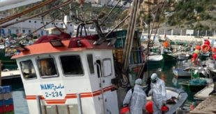 Pêche maritime | Al Hoceima poursuit son activité dans le respect des mesures préventives