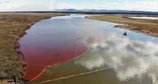 Marée rouge en Russie | Catastrophe écologique après une fuite de diesel