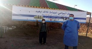 Youssoufia | Ouverture du souk hebdomadaire de la commune d’Ighoud aux éleveurs