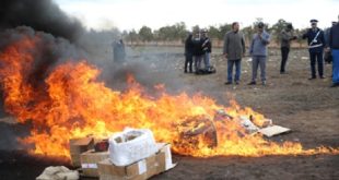 Agadir | Destruction d’une grande quantité de drogues et de cigarettes de contrebande