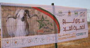 Aid Al Adha | 36 marchés à bétail aménagés dans la région de Fès-Meknès