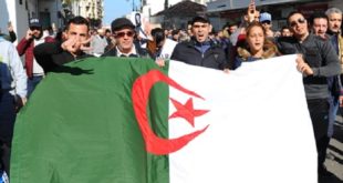 ONU,Algérie,Haut Commissariat des Droits de l’Homme
