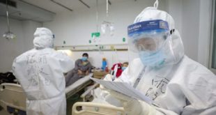 Grippe porcine | La Chine minimise le risque d’une nouvelle pandémie