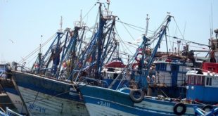 Pêche Côtière et rtisanale | Recul de 8% des débarquements au S1-2020