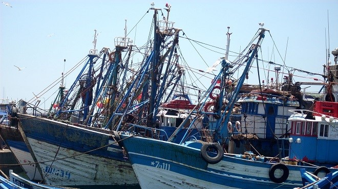 Pêche Côtière et rtisanale | Recul de 8% des débarquements au S1-2020