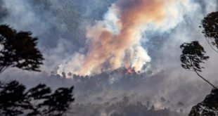 Huelva feux de forêt des Espagnols évacués par milliers