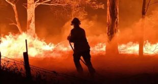Mdiq-Fnideq | Le feu de forêt déclaré à Haouz Malaliyine maîtrisé