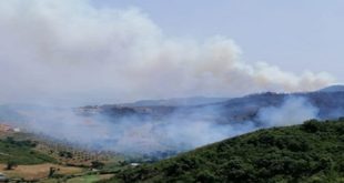 mdiq fnideq feu de forêt